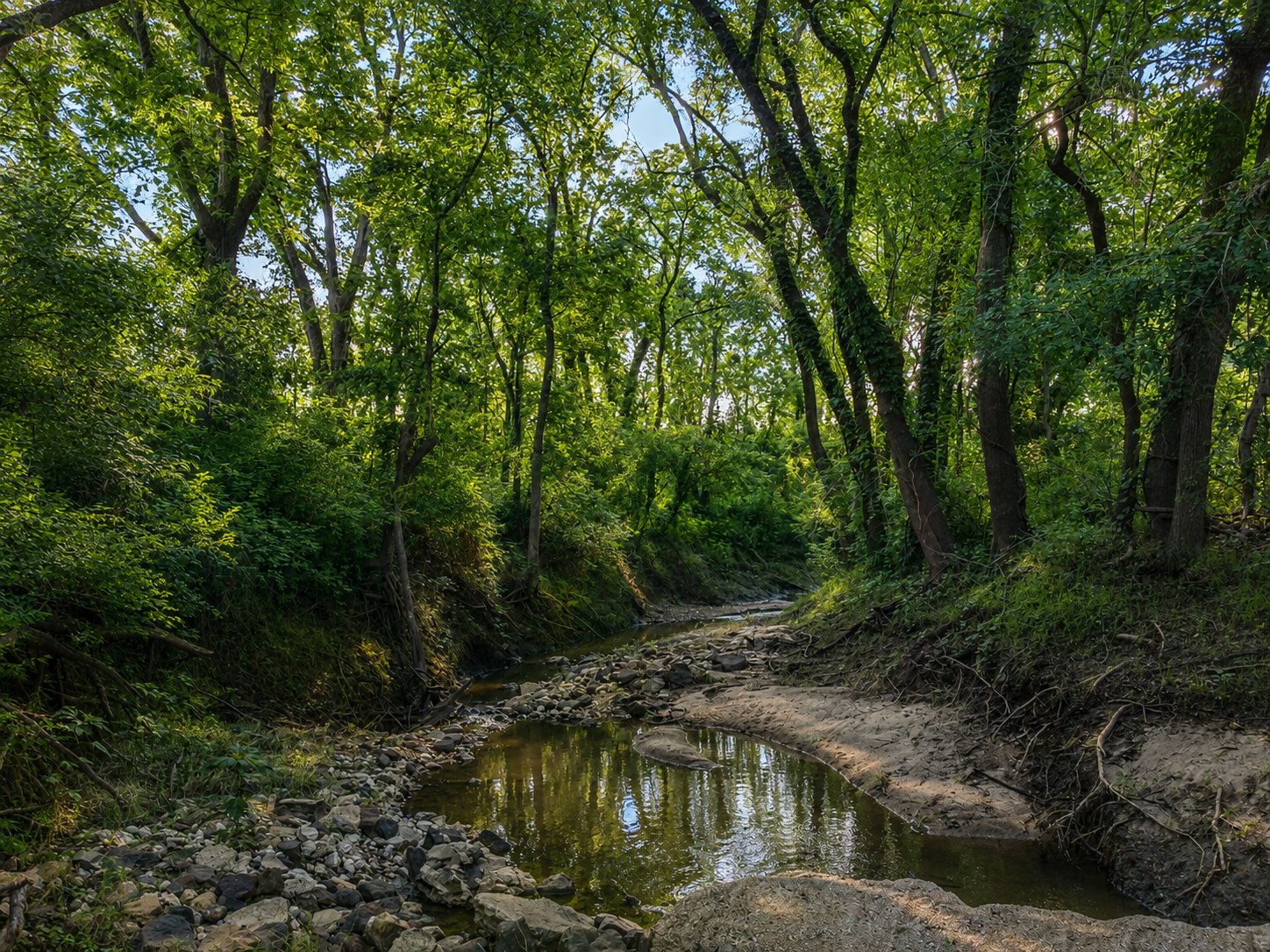 Smith Creek — hardwood bottoms
