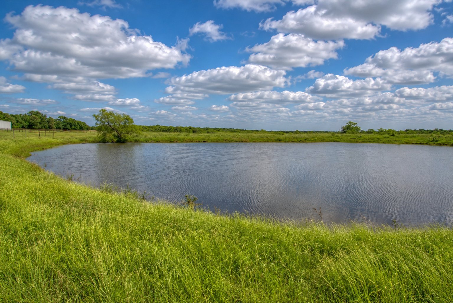 Stock pond — multiple water sources